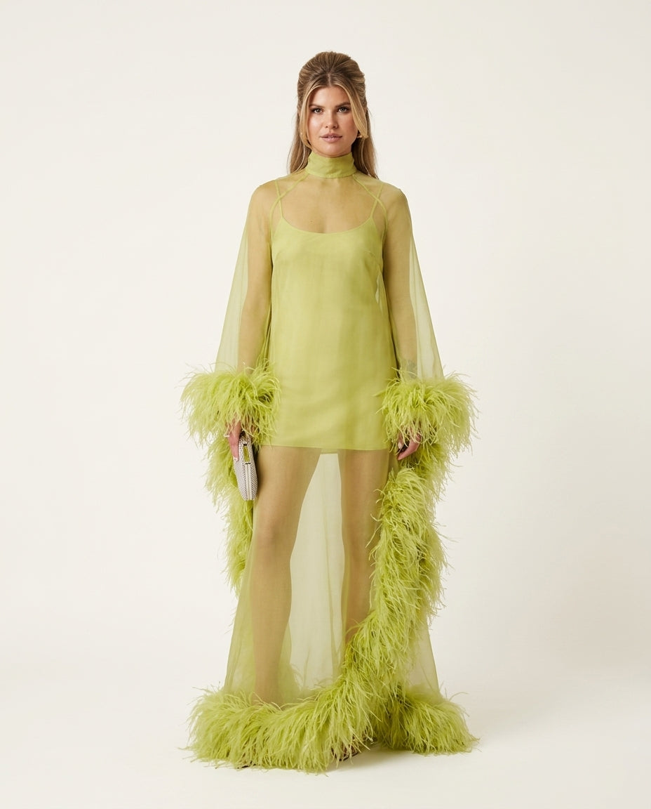 Lime Green Allure Evening Sheer Maxi Dress Lime Green Maxi Dress with Asymmetric silhouette and Textured texture, clean studio product view for Date Night, a gallery opening in Paris, Euro Chic Premium by floravincie