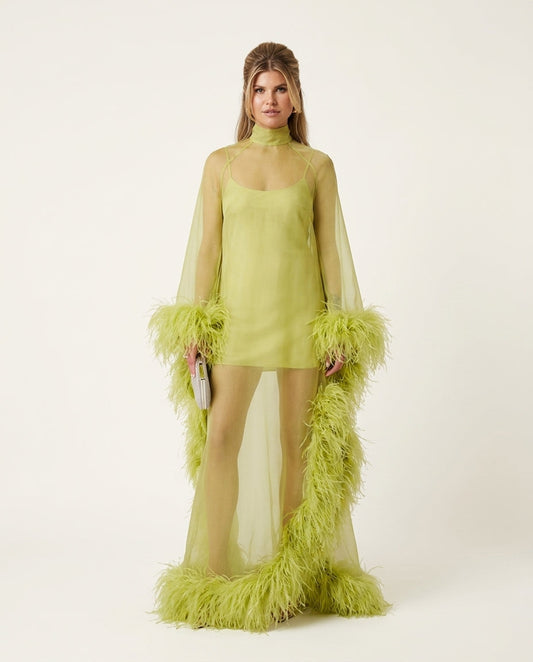 Lime Green Allure Evening Sheer Maxi Dress Lime Green Maxi Dress with Asymmetric silhouette and Textured texture, clean studio product view for Date Night, a gallery opening in Paris, Euro Chic Premium by floravincie