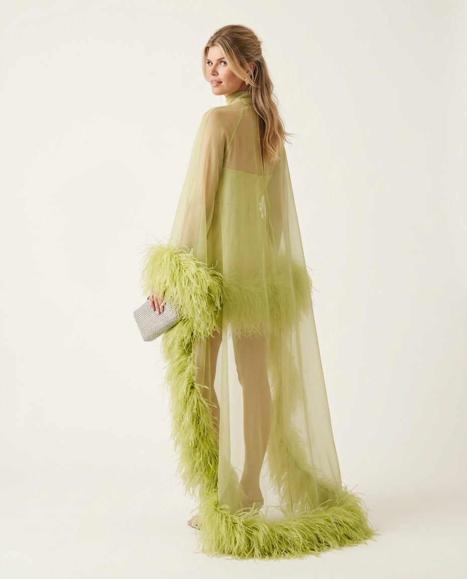 Lime Green Allure Evening Sheer Maxi Dress Lime Green Maxi Dress with Asymmetric silhouette and Textured texture, side or back garment view for Date Night, a gallery opening in Paris, Euro Chic Premium by floravincie
