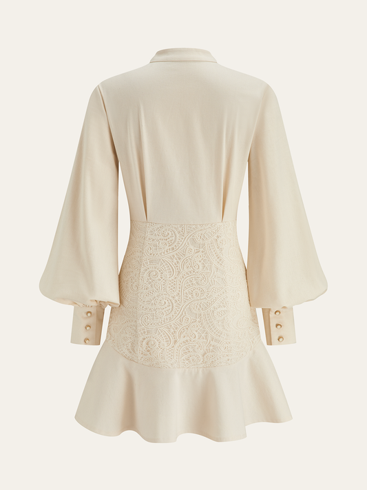 Stand Collar Button Lace Waist Dress