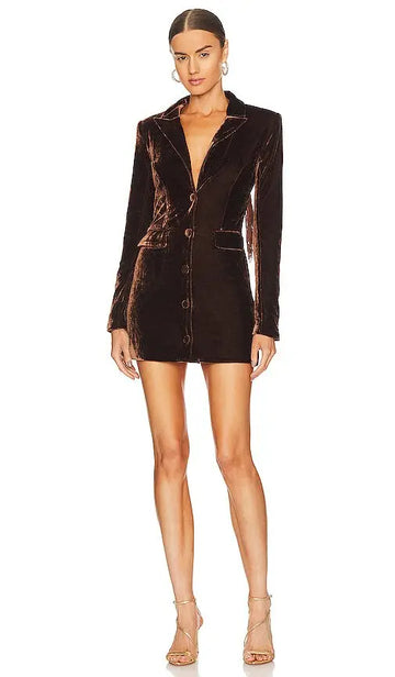 Brown Velvet Open Back Tassel Mini Dress